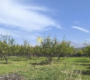Professional Plot 2200m<sup>2</sup> for sale photo 3