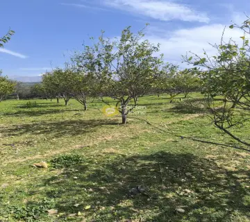 Professional Plot 2200m<sup>2</sup> for sale photo 8
