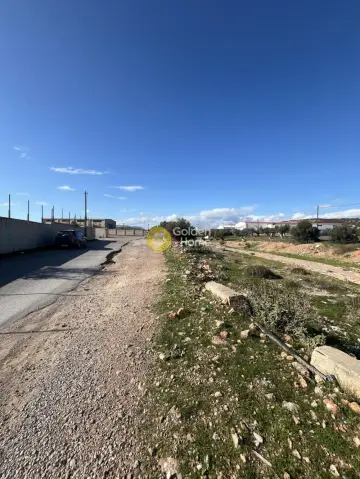 Professional Plot 13000m<sup>2</sup> for sale photo 7