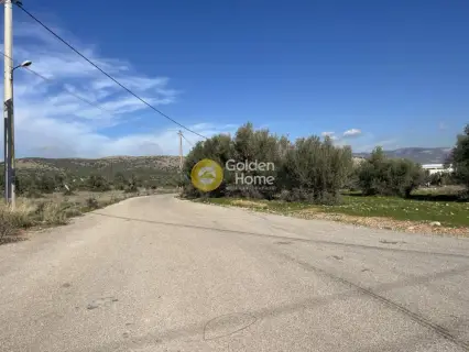 Professional Plot 13000m<sup>2</sup> for sale photo 5424332