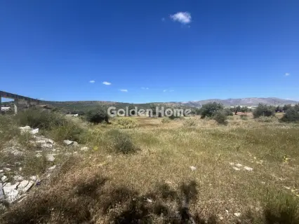 Professional Plot 13000m<sup>2</sup> for sale photo 5424336