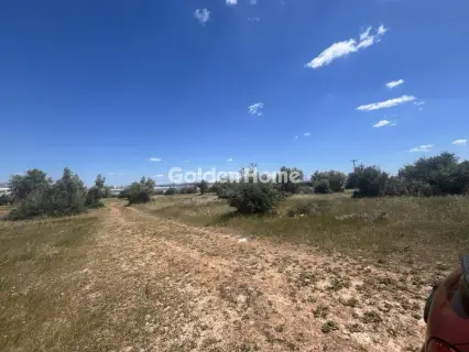 Professional Plot 13000m<sup>2</sup> for sale photo 5424341