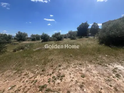 Professional Plot 13000m<sup>2</sup> for sale photo 5424343