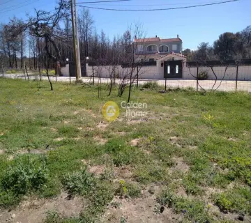 Parcel 5852m<sup>2</sup> for rent photo 2