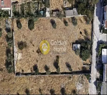 Οικιστικό 1400τ.μ. προς ενοικίαση φωτογραφία 4769678