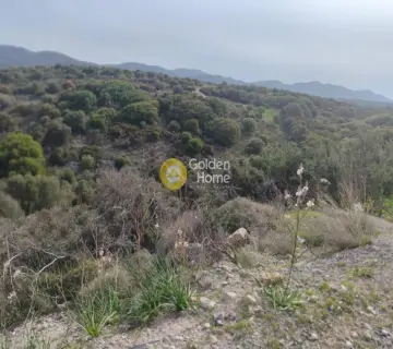 Parcel 10000m<sup>2</sup> for sale photo 13