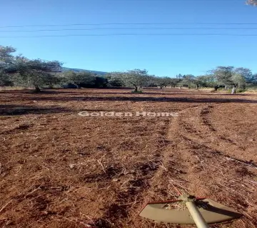 Residential 4000m<sup>2</sup> for sale photo 5