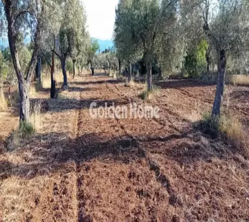 Residential 4000m<sup>2</sup> for sale photo 8