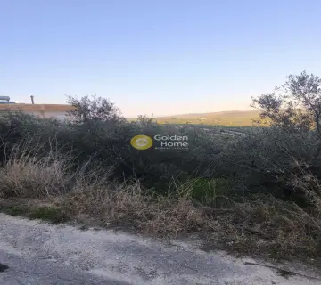 Οικιστικό 697τ.μ. προς πώληση φωτογραφία 2