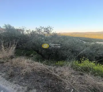 Οικιστικό 697τ.μ. προς πώληση φωτογραφία 5