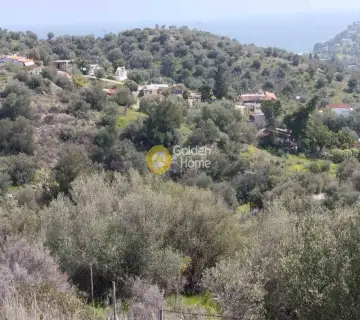 Residential 5427m<sup>2</sup> for sale photo 8