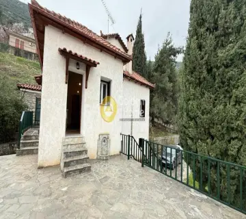 Μονοκατοικία 220τ.μ. προς πώληση φωτογραφία 4714026