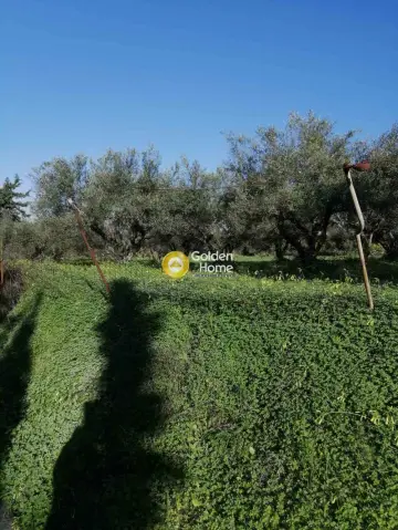 Residential 400m<sup>2</sup> for sale photo 1