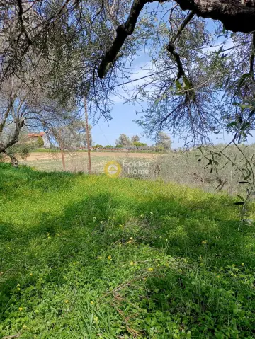 Residential 1000m<sup>2</sup> for sale photo 4