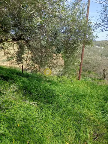 Residential 1000m<sup>2</sup> for sale photo 5