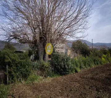 Residential 600m<sup>2</sup> for sale photo 2