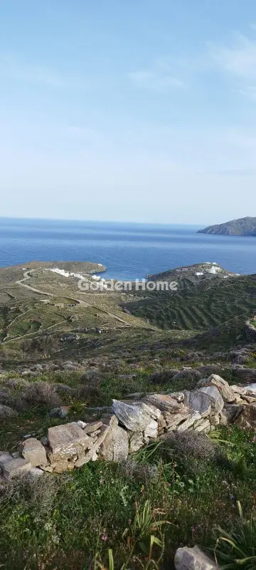 Αγροτεμάχιο 42000τ.μ. προς πώληση φωτογραφία 4