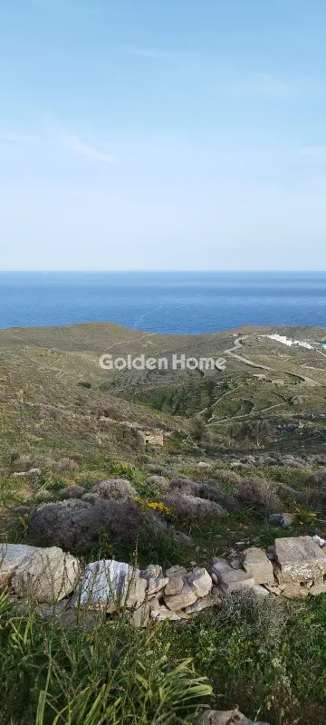 Αγροτεμάχιο 42000τ.μ. προς πώληση φωτογραφία 5