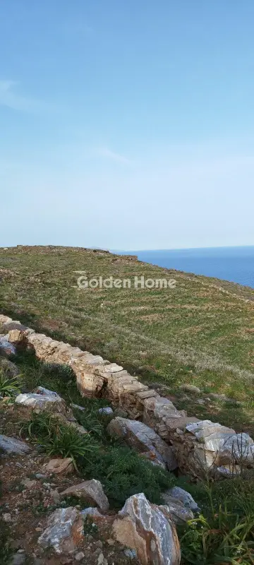 Αγροτεμάχιο 42000τ.μ. προς πώληση φωτογραφία 6