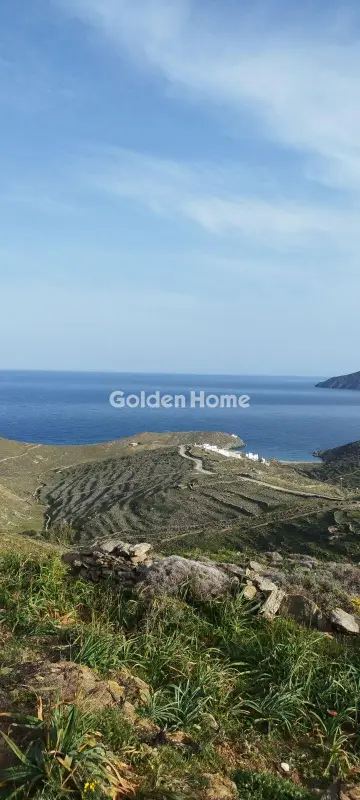 Αγροτεμάχιο 42000τ.μ. προς πώληση φωτογραφία 1