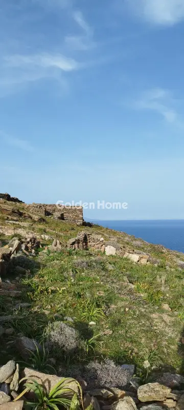 Αγροτεμάχιο 42000τ.μ. προς πώληση φωτογραφία 11