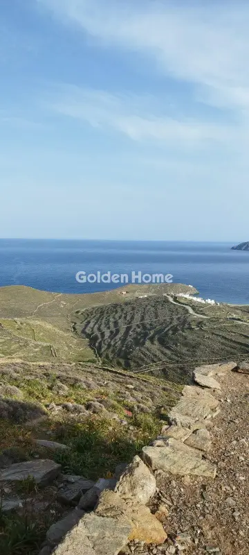 Αγροτεμάχιο 42000τ.μ. προς πώληση φωτογραφία 12