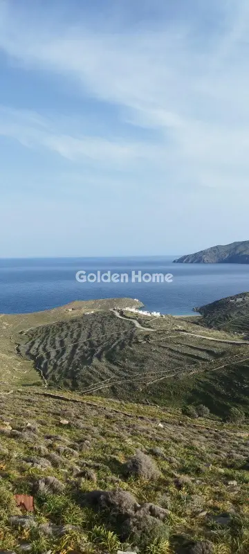 Αγροτεμάχιο 42000τ.μ. προς πώληση φωτογραφία 13