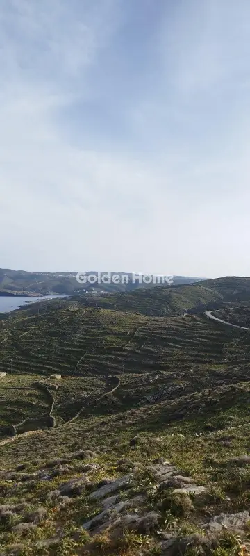 Αγροτεμάχιο 42000τ.μ. προς πώληση φωτογραφία 14