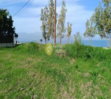 土地 4340m<sup>2</sup> for sale photo 3