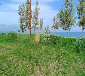 土地 4340m<sup>2</sup> for sale photo 5