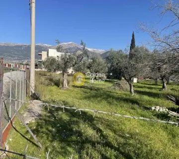 Residential 255m<sup>2</sup> for sale photo 4722909