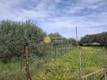 住宅 810m<sup>2</sup> for sale photo 4723279