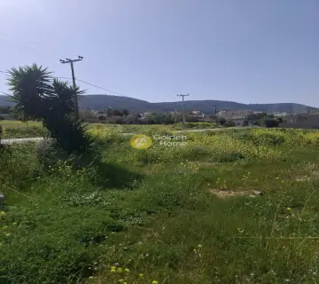 Οικιστικό 4970τ.μ. προς ενοικίαση φωτογραφία 4750523