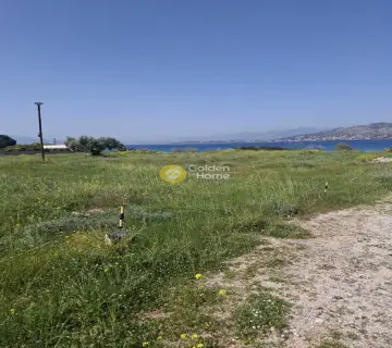 Οικιστικό 4970τ.μ. προς ενοικίαση φωτογραφία 4750524