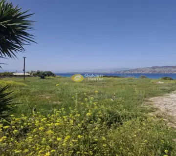 Οικιστικό 4970τ.μ. προς ενοικίαση φωτογραφία 4750522