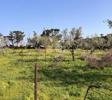 土地 4258m<sup>2</sup> for sale photo 4726456