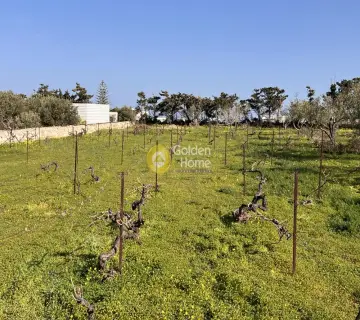 土地 4258m<sup>2</sup> for sale photo 4726460
