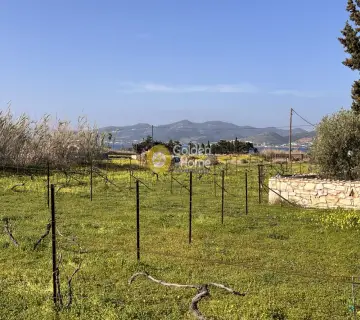 土地 4258m<sup>2</sup> for sale photo 4726451
