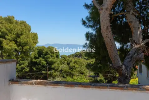 Μονοκατοικία 380τ.μ. προς πώληση φωτογραφία 5400515