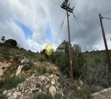 Οικιστικό 1061τ.μ. προς πώληση φωτογραφία 4730592