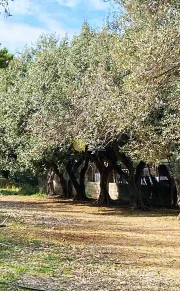Home 163m<sup>2</sup> for sale photo 12