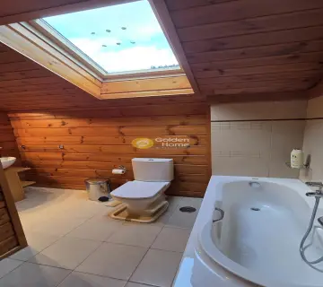 独立复式小屋 300m<sup>2</sup> for rent photo 2