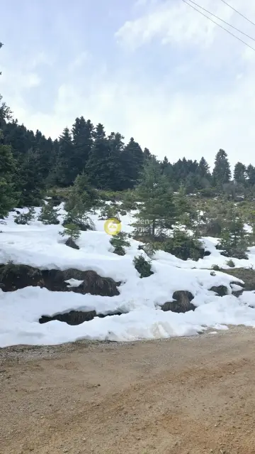Residential 4080m<sup>2</sup> for sale photo 6