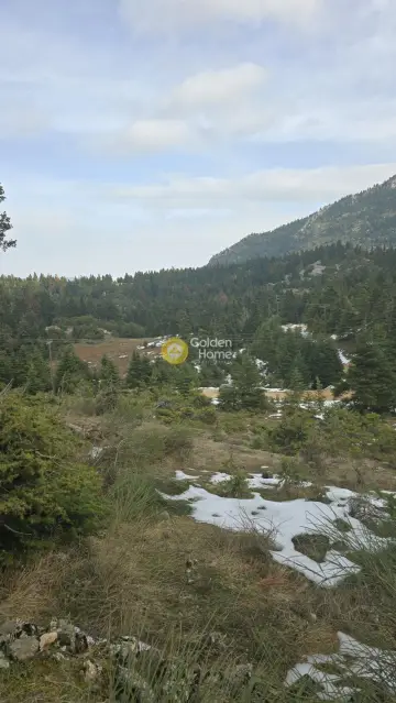 Residential 4080m<sup>2</sup> for sale photo 3