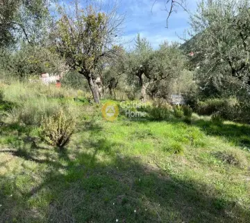 Residential 525m<sup>2</sup> for sale photo 4773938