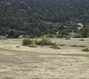 Residential 4634m<sup>2</sup> for sale photo 8
