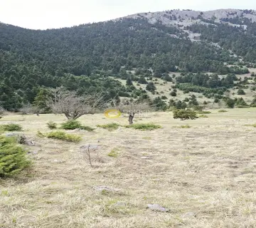 Residential 4634m<sup>2</sup> for sale photo 19