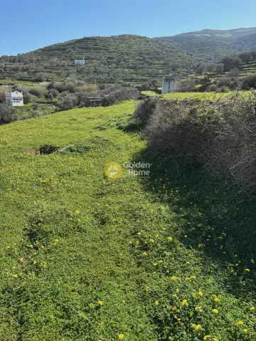 Residential 1187m<sup>2</sup> for sale photo 1