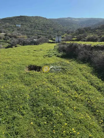 Residential 1187m<sup>2</sup> for sale photo 2