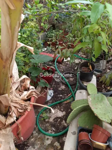 Floor Apartment 61m<sup>2</sup> for sale photo 5389166